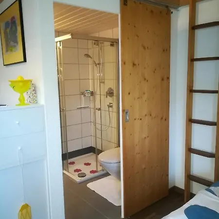 Montanara Appartement Meiringen